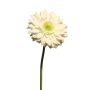 Konstgjord gerbera QIUDONG, krämfärgad, 50cm, Ø12cm