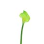Konstgjord blomma Zantedeschia ZHILONG, ljusgrön, 55cm, 10x16cm