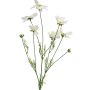 Konstgjord blomstergren, kosmos BAILING, krämfärgad, 90cm