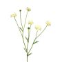 Dekorativ kvist med flockenblomma TAOTAO, krämfärgad, 65cm, Ø4-5cm