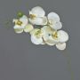Konstgjord gren med Phalaenopsis-orkidé SONGYA, vit-grön, 50cm, Ø6-7cm
