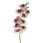 Konstgjord Phalaenopsis-orkidé SONGYA, cerise-krämfärgad, 105cm