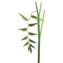 Dekorativ blomma, heliconia JIANG, mörkgrön, 130cm