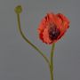 Konstblomma vallmo YILAN, röd, 60cm, Ø12cm