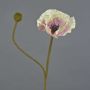 Konstblomma vallmo YILAN, rosa-vit, 60cm, Ø12cm