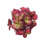 Dekorationsblomma hortensia FUHUA, röd-grön, 23cm, Ø14cm