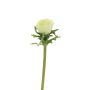 Konstblomma anemon BOYANG, ljusgrön, 35cm, Ø6cm