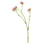 Dekorativ kvist med petunia YAWEI, rosa-krämfärgad, 60cm