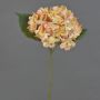 Konstgjord hortensia QILIN, ljusgul-persika, 35cm, Ø15cm