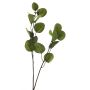 Dekorativ kvist av eukalyptus AOSHAN, grön, 80cm