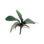Konstgjorda blad av Phalaenopsis-orkidé XIAOQIN med luftrötter, 25cm