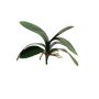 Konstgjorda blad, Phalaenopsis-orkidé XIAOQIN med luftrötter, 30cm