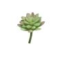 Dekorativ Sedum rubrotinctum AOLUO på stickpinne, grön-röd, 16cm