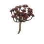 Dekorativ Echeveria macdougallii ULUO på pinne, vinröd, 19cm