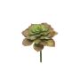 Konstgjord Echeveria morani XINYA på stödpinne, röd-grön, 17cm