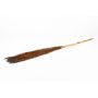 Torkat vassbunt DONJETA, brunt, 115-120cm, Ø15cm