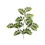 Dekorativ gren av robinia WENLIN, grön, 70cm