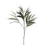 Dekorativ gren Mango WENLIAN, grågrön, 75cm