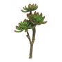 Konstgjord Echeveria elegans FEIFANG på pinne, grön-röd, 30cm