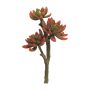 Konstgjord Echeveria elegans FEIFANG på pinne, rödgrön, 30cm