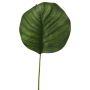 Konstblad Calathea Orbifolia ZICHEN, grönt, 45cm