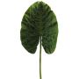 Dekorationsblad Alocasia Odora HAOYUE, grönt, 75cm