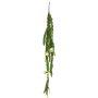 Dekorativ bladkaktus att hänga HUALIAN med blommor, stödpinne, krämfärgad, 100cm