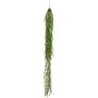 Dekorativ hängande växt Asparagus sprengeri LINGLI, grön, 95cm