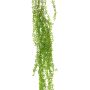 Dekorativ hängande växt Senecio SHUANG på stödpinne, grön, 110cm
