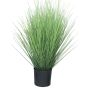 Dekorativt gräs, rörhirse YAMIN, grönt, 60cm