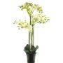 Konstblomma Phalaenopsis-orkidé CHENXU, vit, 110cm