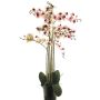 Konstblomma Phalaenopsis-orkidé CHENXU, rosa-krämfärgad, 110cm