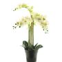 Konstblomma Phalaenopsis-orkidé CHENXU, vit, 60cm