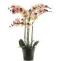 Konstblomma Phalaenopsis-orkidé CHENXU, rosa-krämfärgad, 60cm