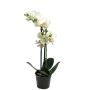 Konstblomma Phalaenopsis-orkidé CHENXU, vit, 50cm