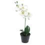 Konstblomma Phalaenopsis-orkidé CHENXU, vit, 35cm
