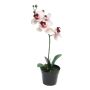Konstgjord Phalaenopsis-orkidé CHENXU, rosa-krämfärgad, 35cm