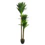 Dekorativ palm Yucca elephantipes SHIXING i dekorativ kruka, 170cm