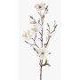 Konstblomma Magnolia LILO, krämfärgad, 75cm, Ø5-9cm