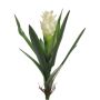Konstblomma Alpinia purpurata LINNIE, stödpinne, vit, 55cm