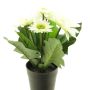 Konstblomma Gerbera XIAOOU i dekorativ kruka, krämfärgad, 25cm