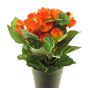 Konstgjord blomma Begonia HETIAN i dekorativ kruka, orange, 25cm