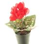 Konstgjord blomma, cyclamen XIAOGUO i dekorativ kruka, röd, 25cm