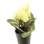 Konstgjord blomma, cyklamen XIAOGUO i dekorativ kruka, gul-rosa, 25cm