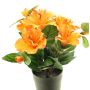 Konstgjord blomma, hibiskus GUOXIAO i dekorativ kruka, orange, 25cm