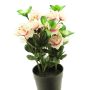 Konstgjord azalea JINGSHU i dekorativ kruka, krämrosa, krämfärgad-cerise, 25cm