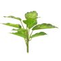 Dekorativ växt Dieffenbachia XUMEI, sticka, grön-krämfärgad, 25cm