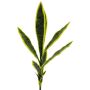 Dekorativ suckulent Sansevieria SUNLIN på stödpinne, grön-gul, 70cm