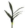 Dekorativ suckulent Sansevieria SUNLIN på stödpinne, grön, 60cm