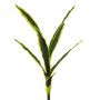 Dekorativ suckulent Sansevieria SUNLIN på stödpinne, grön-gul, 60cm